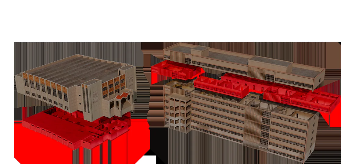 Reconstruction of the Branch 215 complex and internal sections.